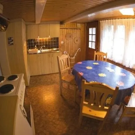 Wenger 5-bettwohnung Apartment Meiringen